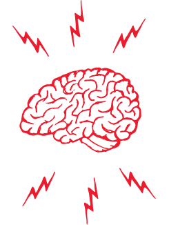 Brain